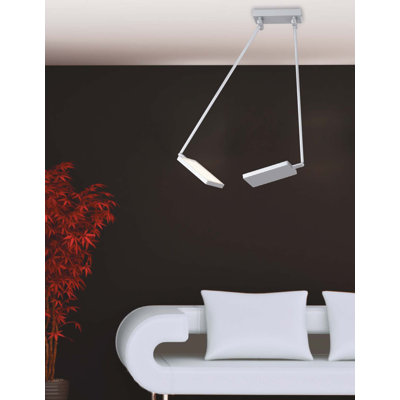 Birdwell 2 - Light LED Unique/Statement Pendant