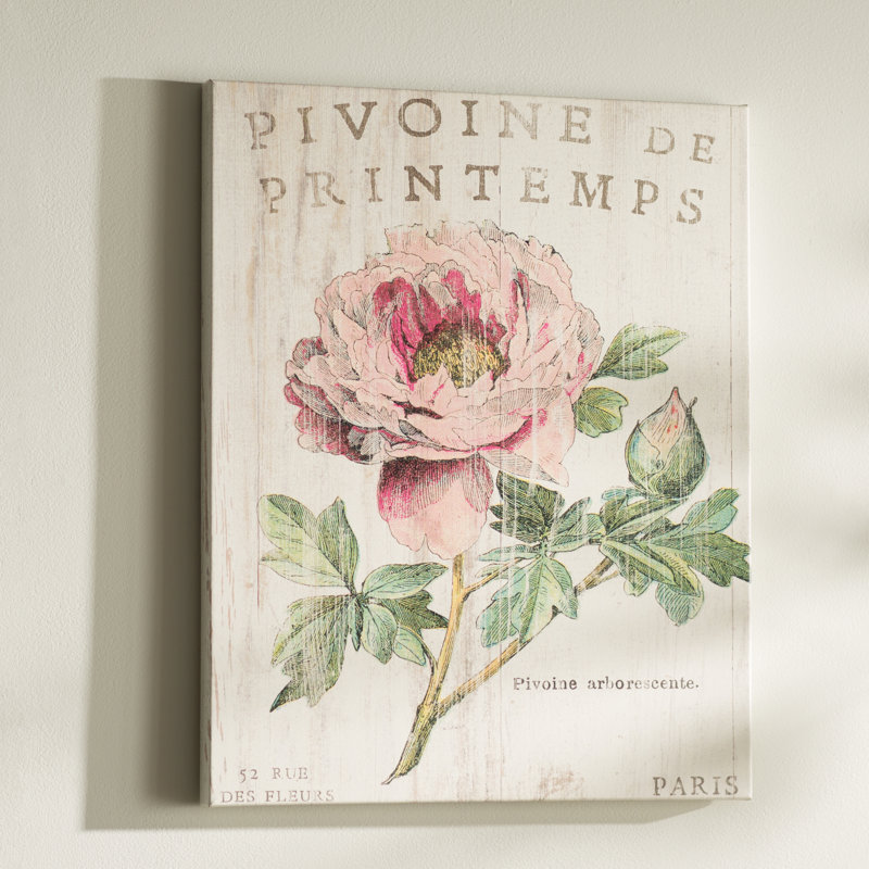 «Pivoine de Printemps», impression, Toile, H 14 po x l 11 po x P 1,25 po
