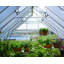 Greenhouse-96230557-96230561