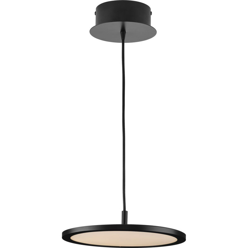 Luminaire suspendu DEL moderne, Noir mat