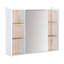 W H Medicine Cabinet Mirror