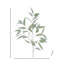 Vaporisateur d'eucalyptus Willow 37 po 