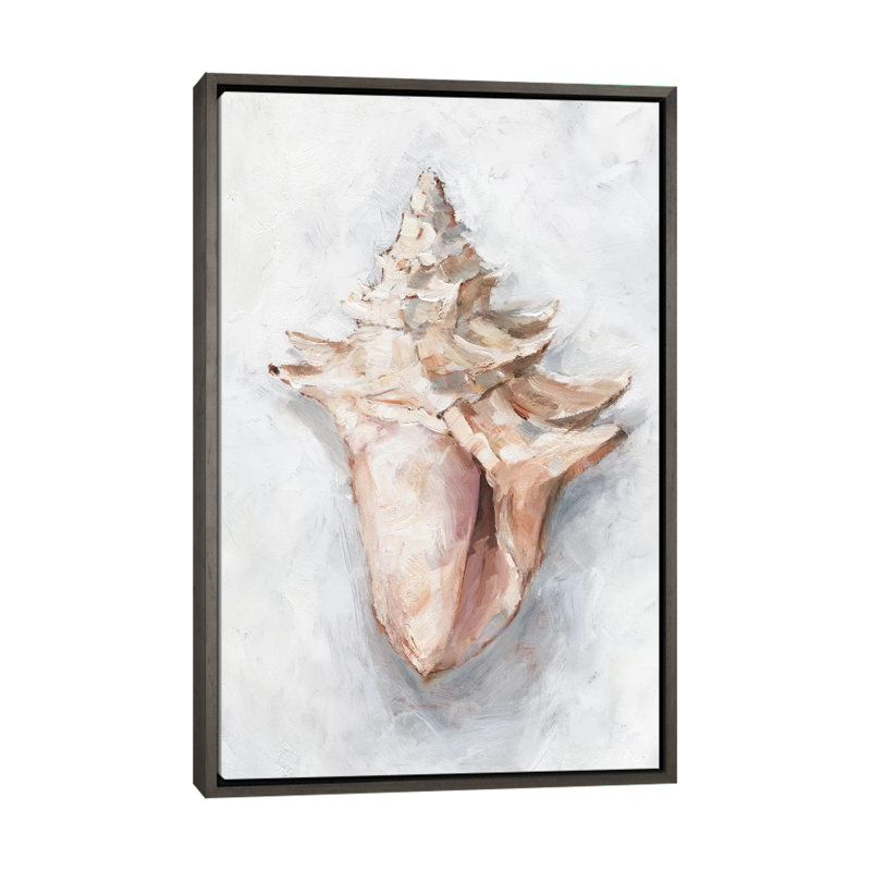 "White Shell Study I" par Ethan Harper, reproduction d’art, Pas de tapis, H 40 po x l 26 po x P 1,5 po