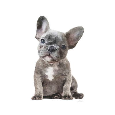 " Frenchie IX " by Amanda Greenwood