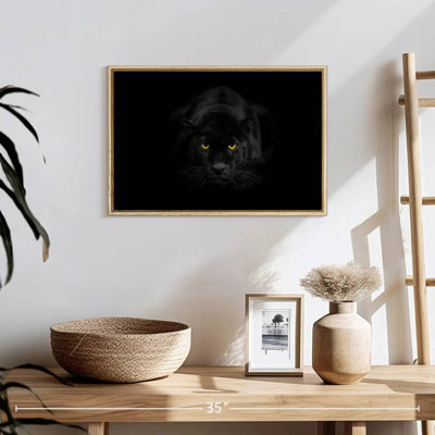 Rare Black Panther