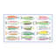 Go Fish 3' X 5' Floor Mat