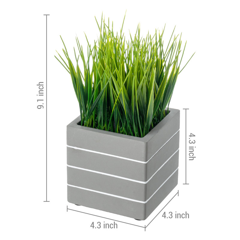 22.99cm Faux Onion Grass Grass in Cement Planter