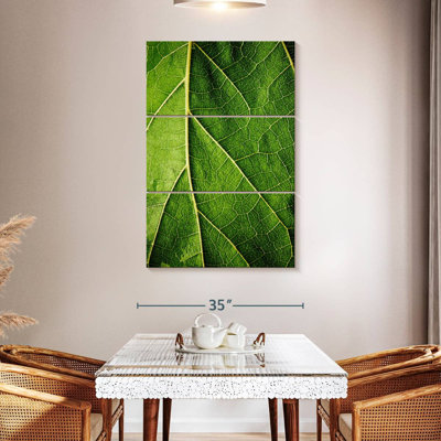 Détails de la feuille verte Harnek