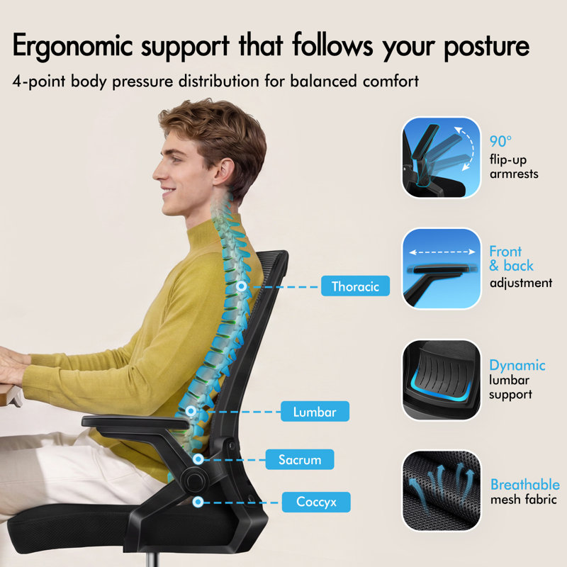 Rebrilliant Mesh and Foam Padding Office Chair, Black, Black