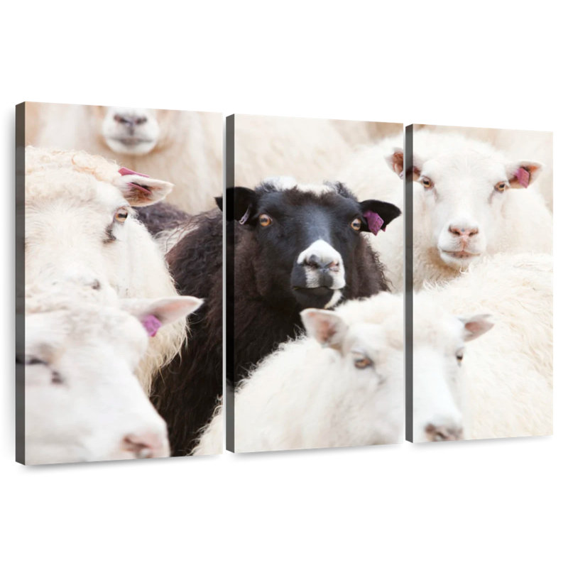 Brampt Standout Black Sheep, 28" H x 45" W