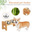 Mangeoire pour animaux