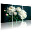 Pivoine blanche pivoines avec bourgeons roses sur fond foncé, ensemble de 3 impressions d'art sur toile-1671231992