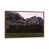 Classic Brown Wood Framed
