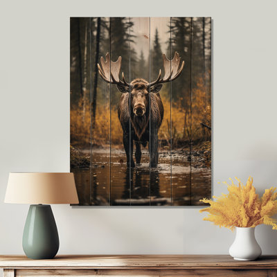 " Alaska Majestic Moose "