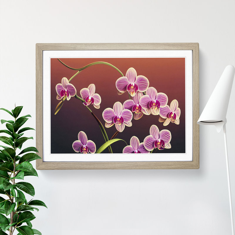 Dashing Orchid Flowers - Framed Print, Oak, 34cm H x 46cm W x 2cm D