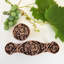 Tuscan Mushroom Knob-9085946