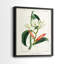 Reproduction encadrée Turpin Tropical Botanicals IX-Premium - prête à être accrochée-1325991305-1325991409