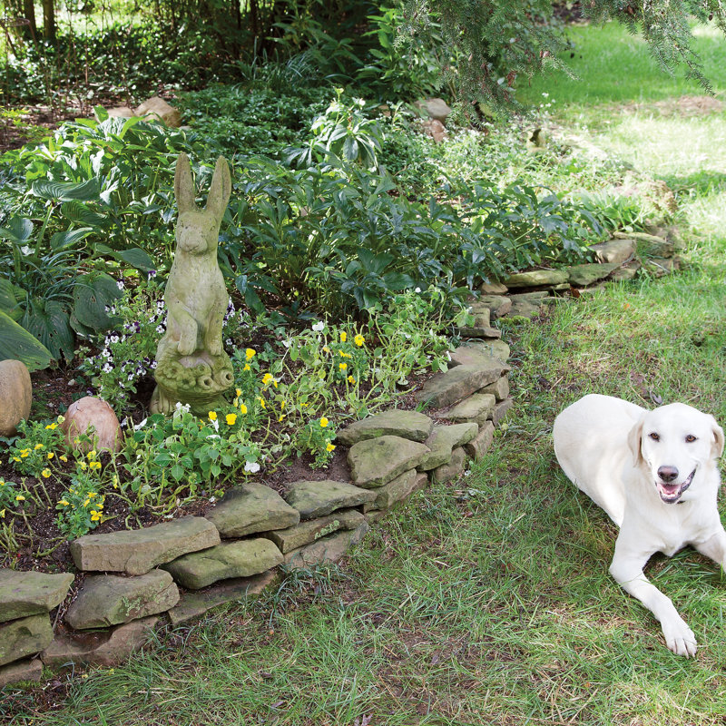 PetSafe Outdoor Pet Barrier with Waterproof Rock Transmitter