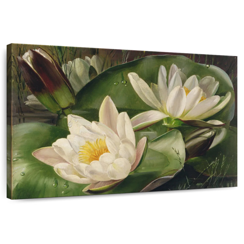 Harnek Classic Water Lilies, 8" H x 12" W