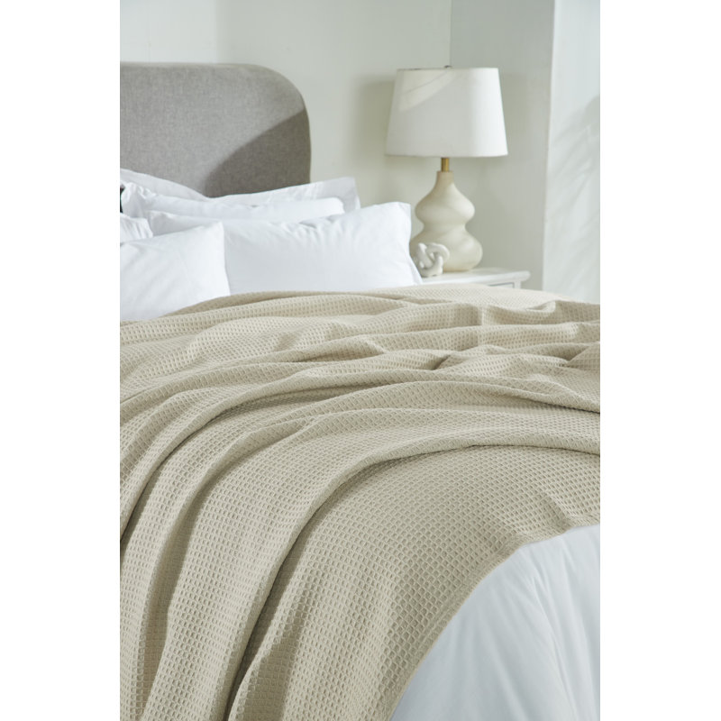 Janiya Full Size Oatmeal Cotton Reversible Blanket