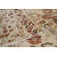 Hand-Knotted High-Quality Ivory Area Rug