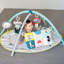 Baby Gym Mat