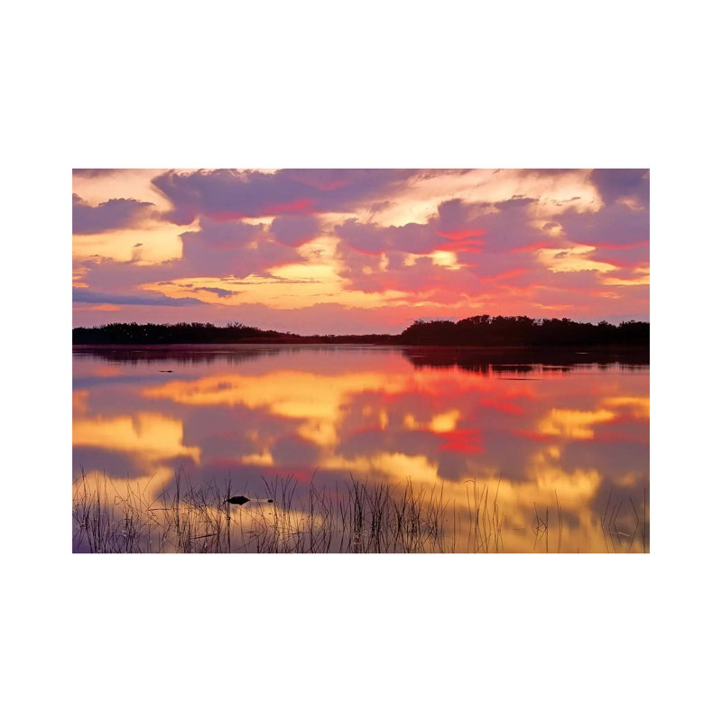 American Alligator Surfacing In Nine Mile Pond At Sunrise by Tim Fitzharris - Wrapped Canvas Print, 20.32 cm H x 30.48 cm W