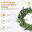 Polyethylene 100cm Wreath