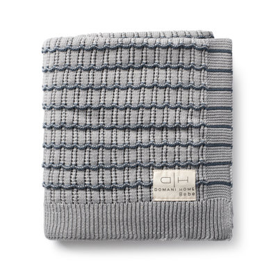 Striated Scallop