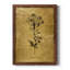 Toile encadrée dorée «Botanical II» de qualité supérieure - prête à être accrochée-61353035-61353034