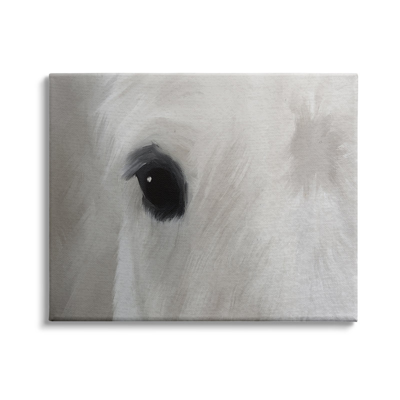 Gros plan sur un étalon sauvage blanc, H 36 po x l 48 po, Toile tendue