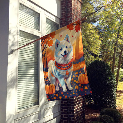 Drapeau de maison en polyester à double face H 40 po x l 28 po