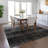 Machine Washable Indoor/Outdoor Chayden ACN1064 Rug-109486458