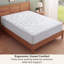 Surmatelas ajusté-118041863