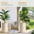 Kute Nest Indoor/Outdoor Medium Conico Fiberstone Planter-114407577-123817438