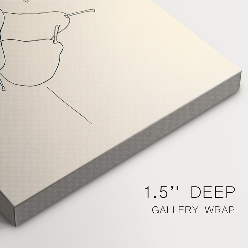 Fruit Line Drawing III -Gallery Wrapped Cavas, 32X48