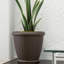 Cache pot-131238075