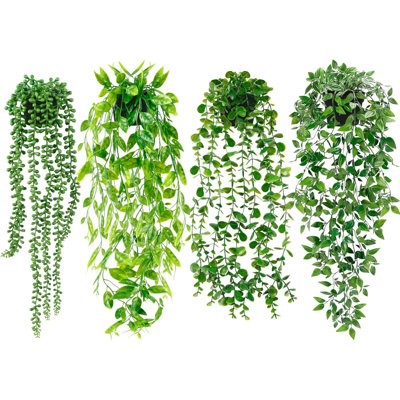 jade pothos care Jade Pothos  Hey Rooted