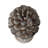 Daisy Pinecone Table Decor, Polyresin Decorative Accent for Home Display