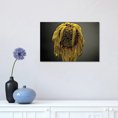 Studio Flowers VII 1 Piece Wrapped Canvas Wall Art