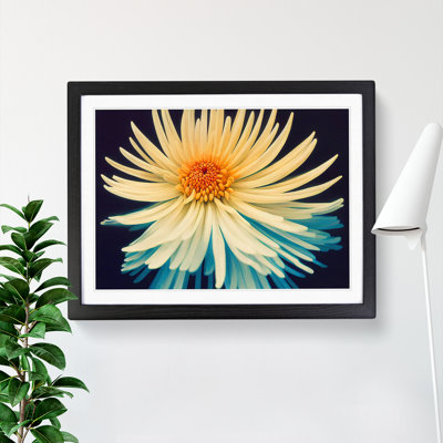 Intriguing Chrysanthemum Flower - Framed Print