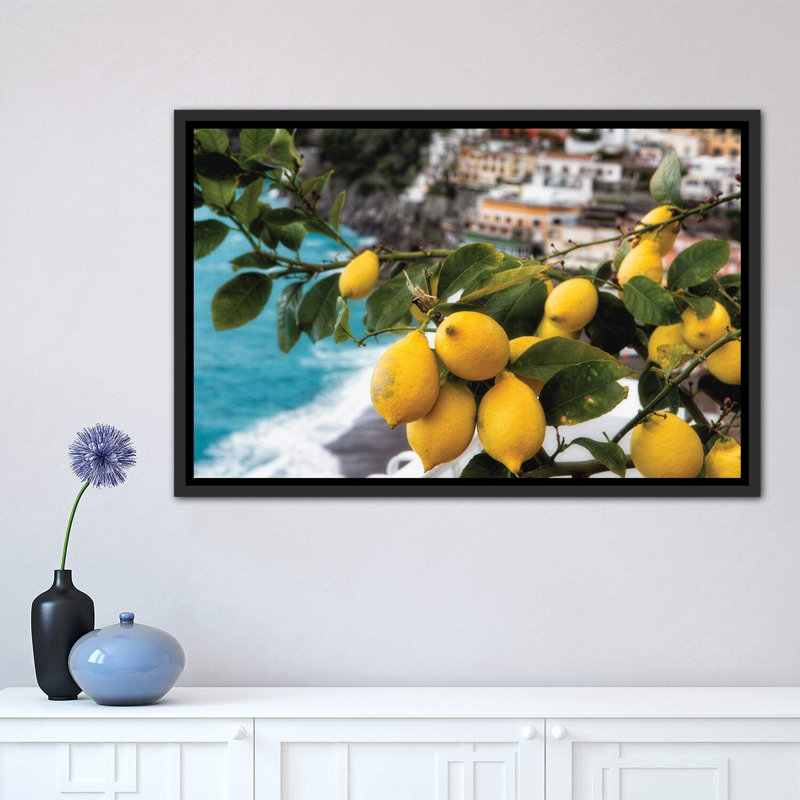 «Gros plan sur un citronnier avec fruit» - impression, Cadre noir vieilli, H 26 po x l 40 po x 1,5 po