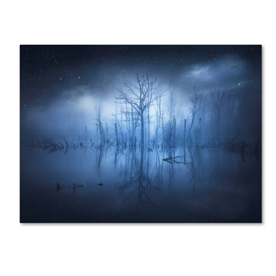 « étranger things », impression sur toile tendue