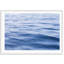 Big Blue Print by Carly Tabak-73336322-73336324