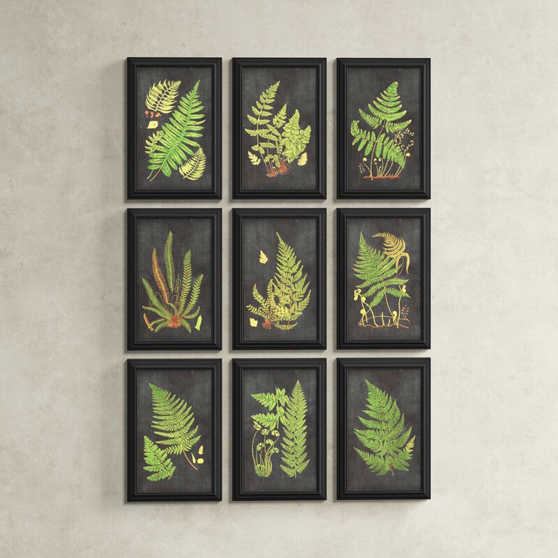 Fern wall art: Enid Fern Botanical Framed On Paper 9 Pieces Print (Set of 9)