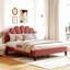 Lit plateforme tapissier grand en velours avec tête de lit à motif floral | Haricot rouge, pas besoin de sommier-621394120-621394123