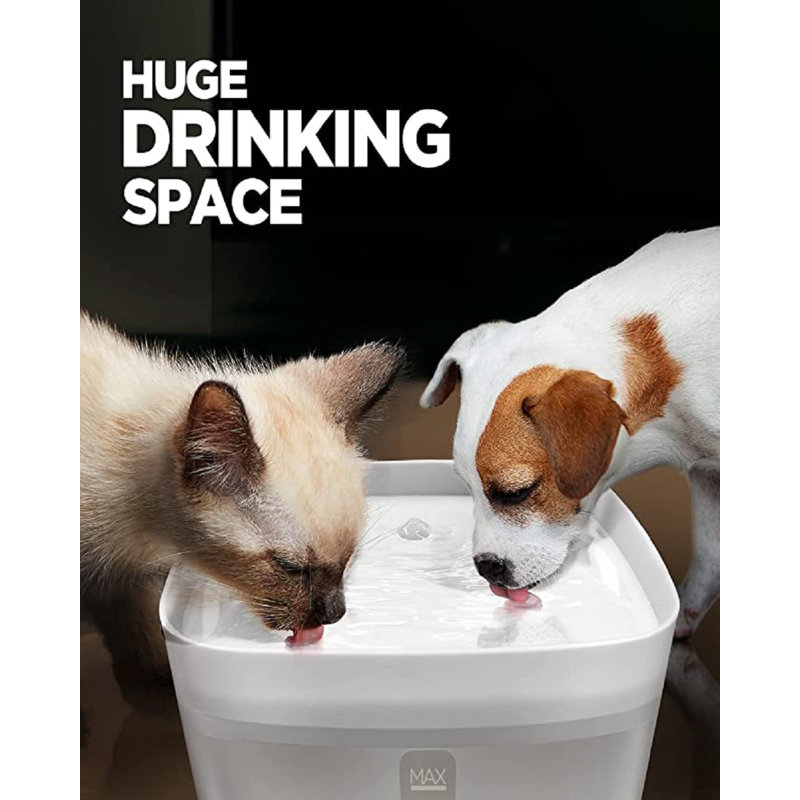 Pet Fountain