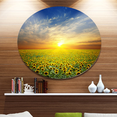 " Beauty Sunset Over Sunflowers Field "