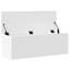 Aricin Accent Trunk-1231069705