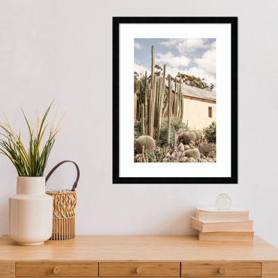 Impression sur toile encadrée «Daisey Karoo Garden 02» par Shot par Clint Wood